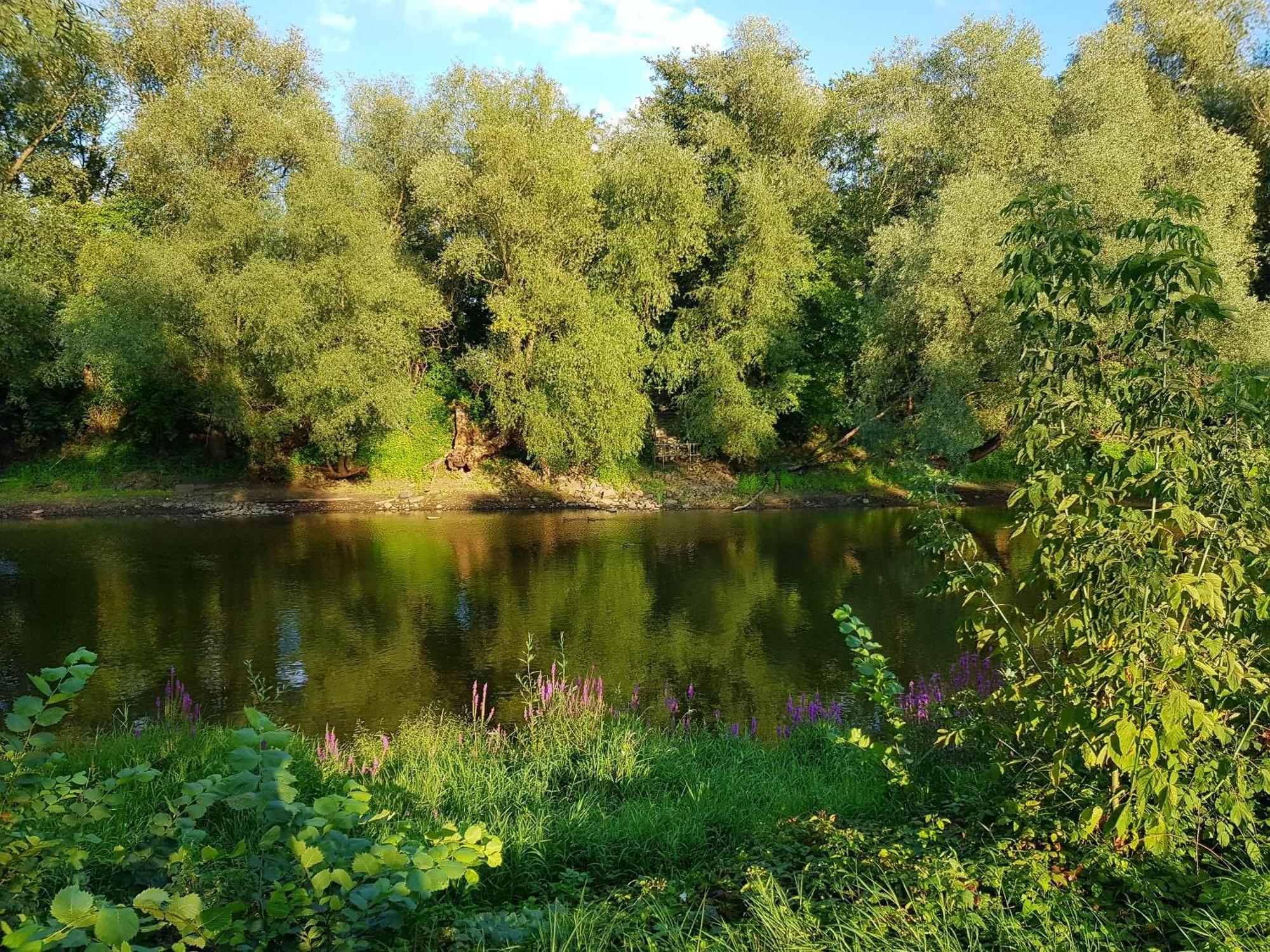 Viadrina Rooms & Apartments Frankfurt-Oder Am Park Im Zentrum 奥得河畔法兰克福 外观 照片