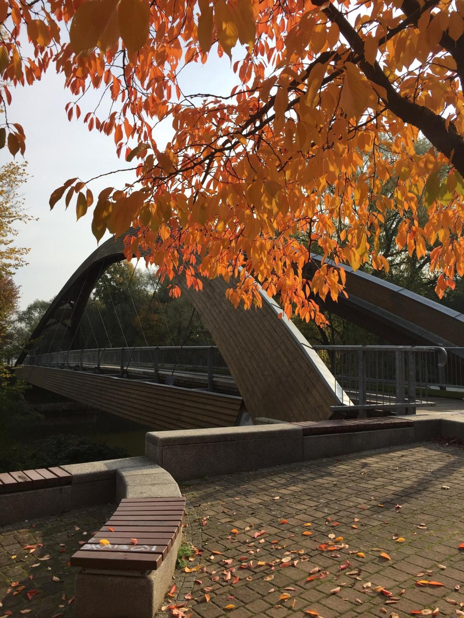 Viadrina Rooms & Apartments Frankfurt-Oder Am Park Im Zentrum 奥得河畔法兰克福 外观 照片