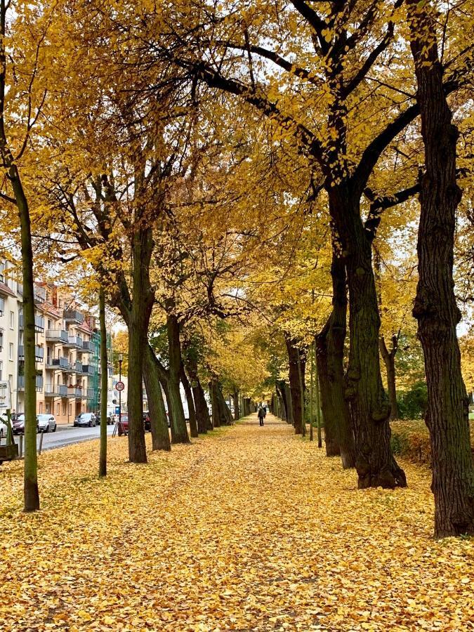 Viadrina Rooms & Apartments Frankfurt-Oder Am Park Im Zentrum 奥得河畔法兰克福 外观 照片